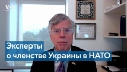 46 видных политологов в США выступили за присоединение Украины к НАТО 