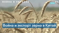 Война в Украине и поставки продуктов питания в Китай 