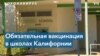 Нет прививки – нет работы: увольнения противников вакцинации