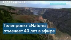 Популярная ТВ-программа «Природа» на канале PBS отмечает свое 40-летие