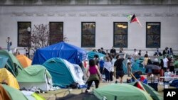 Протестующие в поддержку Палестины студенты Колумбийского университета, Нью-Йорк, США, 29 апреля 2024 года